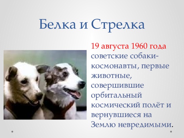 Белка и Стрелка 19 августа 1960 года советские собаки-космонавты, первые животные, совершившие орбитальный космический полёт и вернувшиеся на Землю невредимыми . 