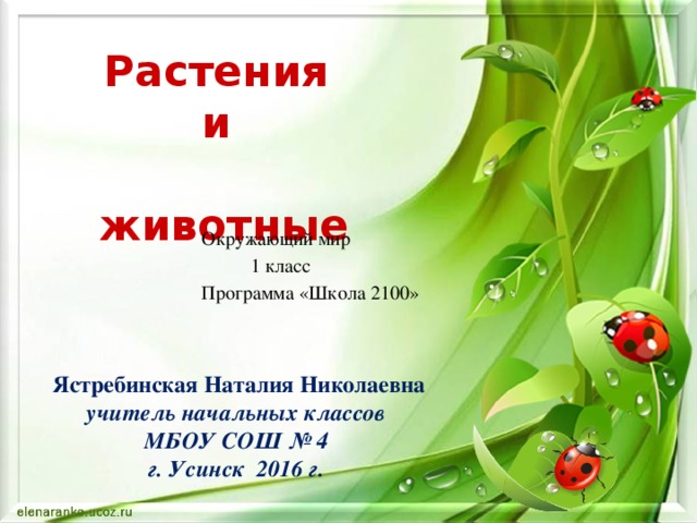 Растения  и  животные Окружающий мир  1 класс Программа «Школа 2100»  Ястребинская Наталия Николаевна учитель начальных классов МБОУ СОШ № 4 г. Усинск 2016 г. 