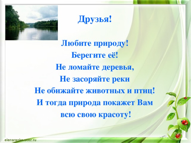 Друзья!  Любите природу! Берегите её! Не ломайте деревья, Не засоряйте реки Не обижайте животных и птиц! И тогда природа покажет Вам  всю свою красоту!  