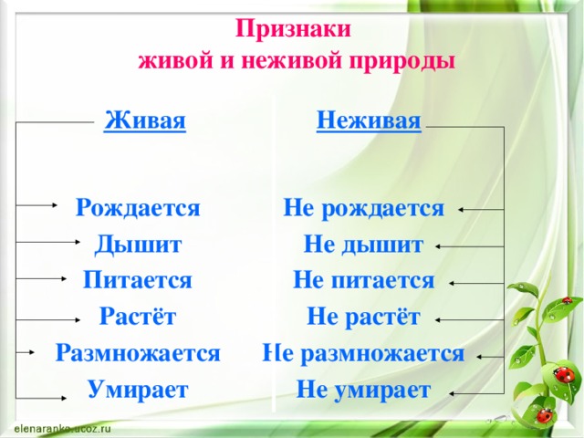 Признаки  живой и неживой природы Живая Неживая Рождается Не рождается Дышит Не дышит Питается Не питается Растёт Не растёт Размножается Не размножается Умирает Не умирает 