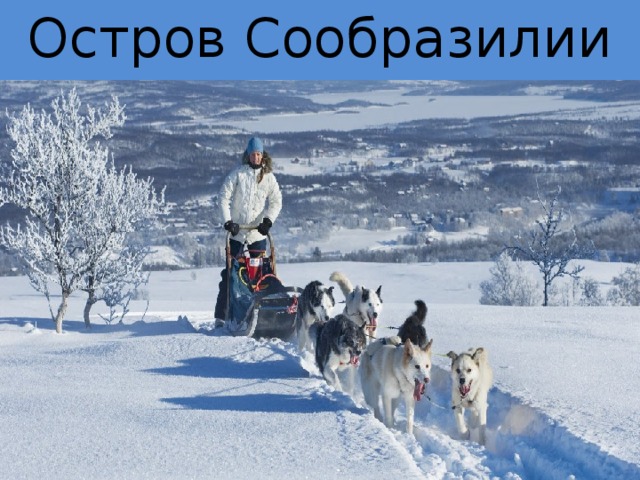 Остров Сообразилии.    Остров Сообразилии 