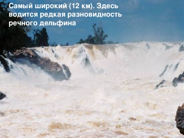  Самый широкий (12 км). Здесь водится редкая разновидность речного дельфина 