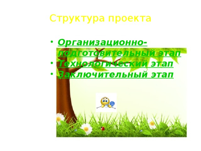 Структура проекта Организационно-подготовительный этап Технологический этап Заключительный этап   