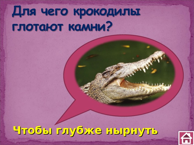 Чтобы глубже нырнуть 