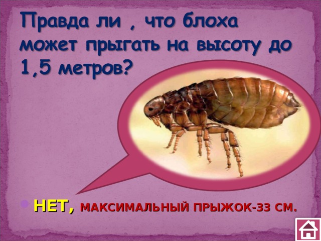 НЕТ, МАКСИМАЛЬНЫЙ ПРЫЖОК-33 СМ. 