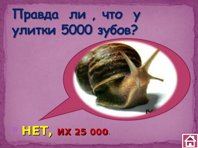 НЕТ, ИХ 25 000 . 