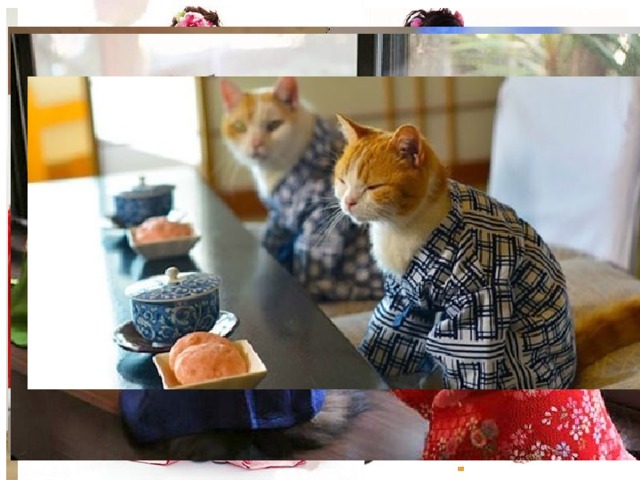 Кимоно́ - длинный халат с широкоми рукавами связанный поясом яп. 着物 , кимоно, «одежда»; яп. 和服 , вафуку, «национальная одежда») — традиционная одежда в Японии. С середины XIX века считается японским «национальным костюмом». Также кимоно является рабочей одеждой гейш и майко (будущая гейша).   С кимоно связан японский праздник «Сити-Го-Сан».   