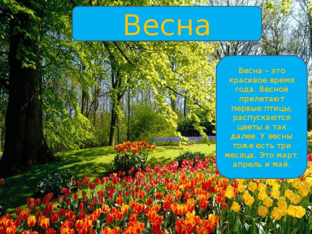 Весна Весна – это красивое время года. Весной прилетают первые птицы, распускаются цветы и так далее. У весны тоже есть три месяца. Это март, апрель и май. 