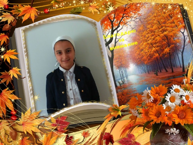          Благодарю  за  внимание 