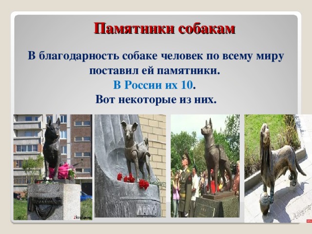  Памятники собакам         В благодарность собаке человек по всему миру поставил ей памятники. В России их 10 . Вот некоторые из них.    