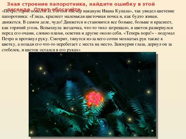 Зная строение папоротника, найдите ошибку в этой легенде. Ответ обоснуйте. «Петро, герой повести Н. Гоголя «Вечер накануне Ивана Купала», так увидел цветение папоротника: «Глядь, краснеет маленькая цветочная почка и, как будто живая, движется. В самом деле, чудо! Движется и становится все больше, больше и краснеет, как горячий уголь. Вспыхнула звездочка, что-то тихо затрещало, и цветок развернулся перед его очами, словно пламя, осветив и другие около себя. «Теперь пора!» - подумал Петро и протянул руку. Смотрит, тянутся из-за него сотни мохнатых рук также к цветку, а позади его что-то перебегает с места на место. Зажмурив глаза, дернул он за стебелек, и цветок остался в его руках»   