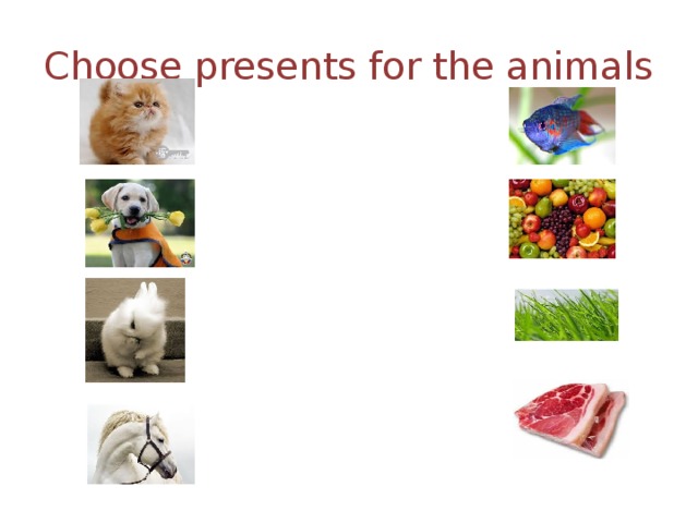 Choose presents for the animals 