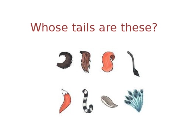 Whose tails are these? 