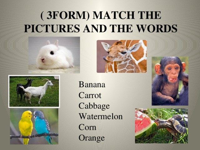 ( 3form) Match the pictures and the words Banana  Carrot  Cabbage  Watermelon  Corn  Orange 