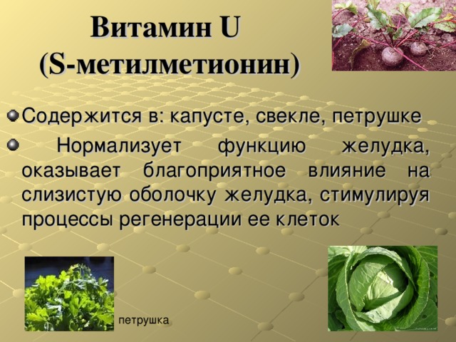Какое значение ю. Роль витамина u. Витамин u биологическая роль. Витамин u где содержится. Витамин u функции.