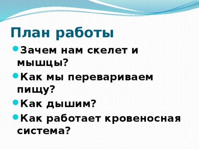 План работы Зачем нам скелет и мышцы? Как мы перевариваем пищу? Как дышим? Как работает кровеносная система? 