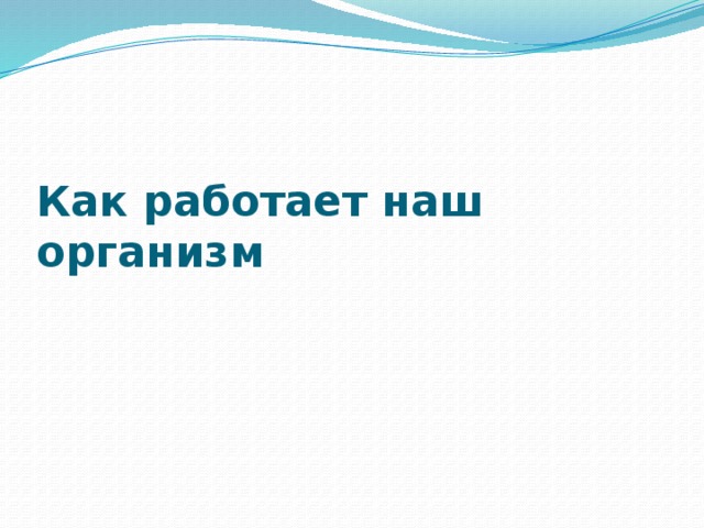 Как работает наш организм 