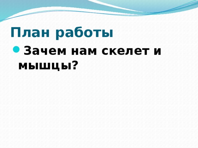 План работы Зачем нам скелет и мышцы? 