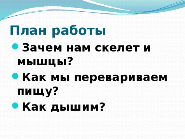 План работы Зачем нам скелет и мышцы? Как мы перевариваем пищу? Как дышим? 