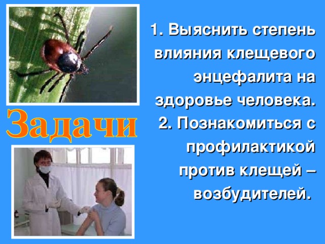 1. Выяснить степень влияния клещевого энцефалита на здоровье человека. 2. Познакомиться с профилактикой против клещей – возбудителей. 