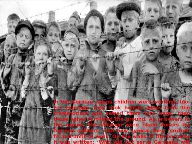 In the German camps children were working, too. For example, they took human ashes from the crematorium and sewed them into bags, then those ashes fertilized the ground. As prisoners in the camps, the children were blood donors for German soldiers. And how cynical they 