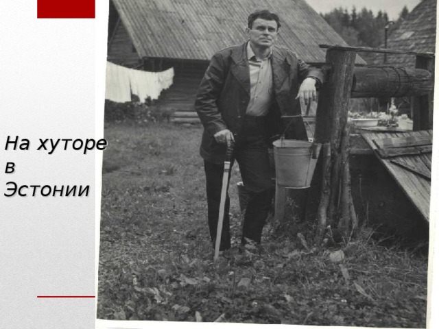 На хуторе в Эстонии 