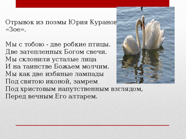 Отрывок из поэмы Юрия Куранова «Зое».   Мы с тобою - две робкие птицы. Две затепленных Богом свечи. Мы склонили усталые лица И на таинстве Божьем молчим. Мы как две избяные лампады Под святою иконой, замрем Под христовым напутственным взглядом, Перед вечным Его алтарем. 