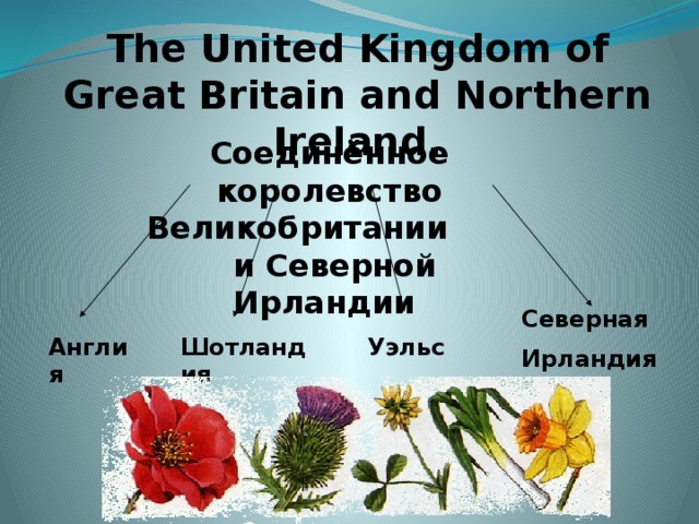 The United Kingdom of Great Britain and Northern Ireland. Соединённое королевство Великобритании и Северной Ирландии Северная Ирландия Шотландия Уэльс Англия 