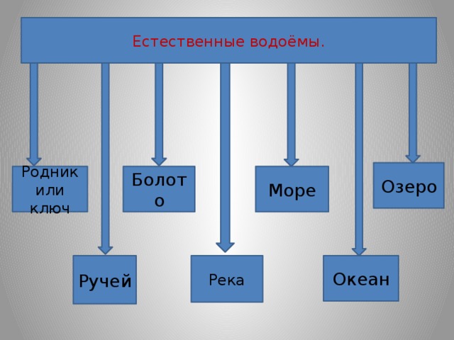 Естественные водоёмы. Озеро Родник или ключ Море Болото Океан Ручей Река  