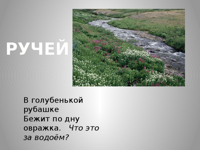 РУЧЕЙ В голубенькой рубашке Бежит по дну овражка. Что это за водоём? 