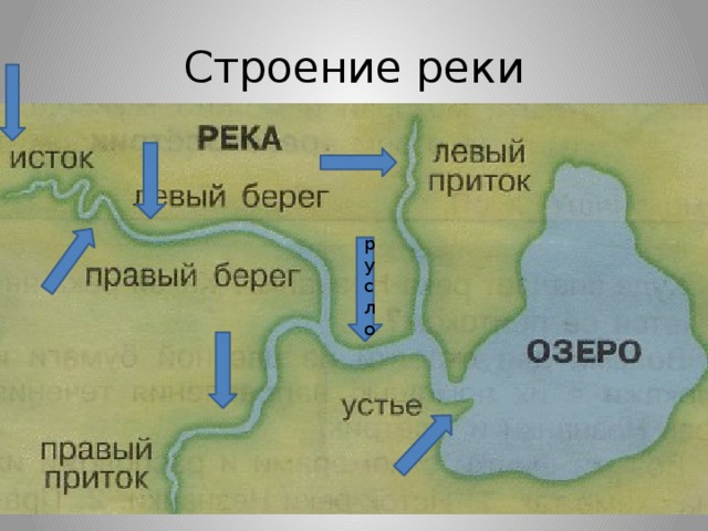 Приток 4 буквы. Река Исток русло схема. Схема строения реки Исток Устье. Части реки Исток русло. Структура реки схема.