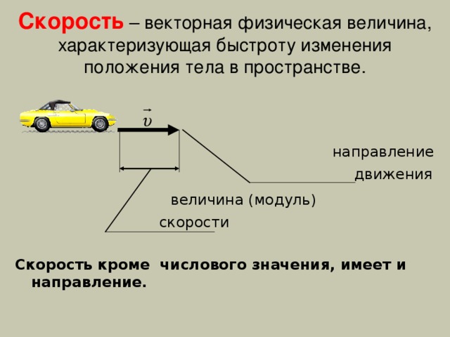 Скорость  – векторная физическая величина, характеризующая быстроту изменения положения тела в пространстве.  направление  движения  величина (модуль)  скорости Скорость кроме числового значения, имеет и направление. 