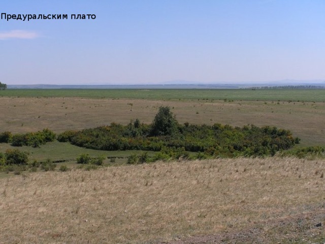 Предуральским плато 