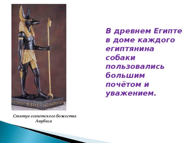 В древнем Египте в доме каждого египтянина собаки пользовались большим почётом и уважением.   Статуя египетского божества Анубиса 