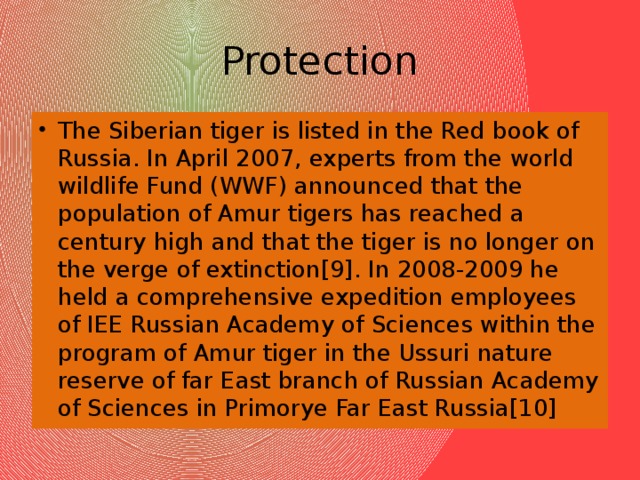 Protection The Siberian tiger is listed in the Red book of Russia. In April 2007, experts from the world wildlife Fund (WWF) announced that the population of Amur tigers has reached a century high and that the tiger is no longer on the verge of extinction[9]. In 2008-2009 he held a comprehensive expedition employees of IEE Russian Academy of Sciences within the program of Amur tiger in the Ussuri nature reserve of far East branch of Russian Academy of Sciences in Primorye Far East Russia[10] 