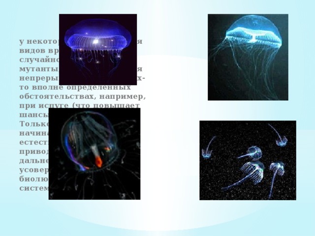 у некоторых несветящихся видов время от времени случайно возникают мутанты, ярко светящиеся непрерывно или при каких-то вполне определенных обстоятельствах, например, при испуге (что повышает шансы на выживание). Только так может начинаться процесс естественного отбора, приводящего к дальнейшему усовершенствованию биолюминесцентной системы. 
