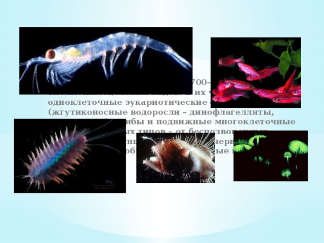 В настоящее время известно 700–800 биолюминесцентных видов. В их числе бактерии, одноклеточные эукариотические организмы (жгутиконосные водоросли – динофлагелляты, радиолярии), грибы и подвижные многоклеточные животные разных типов – от беспозвоночных (кишечнополостные, гребневики, черви, моллюски, ракообразные, насекомые и др.) до рыб. 