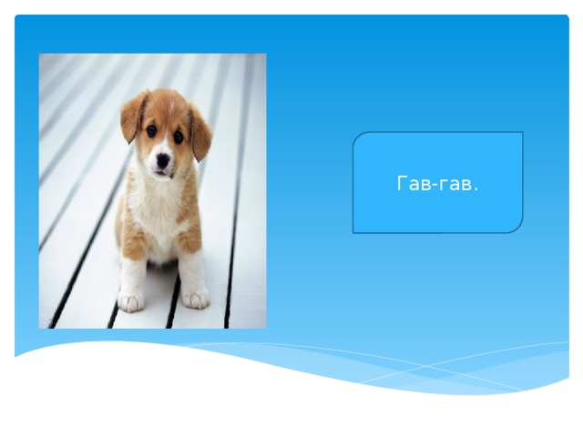 Гав-гав. 