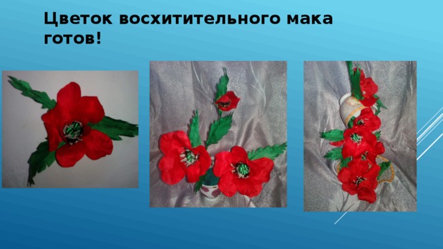 Цветок восхитительного мака готов! 