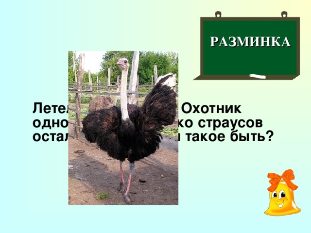 РАЗМИНКА  Летели три страуса. Охотник одного убил. Сколько страусов осталось? Может ли такое быть?