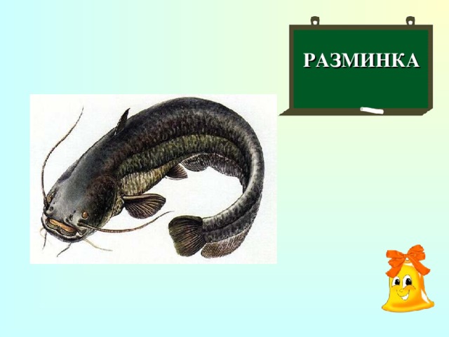 РАЗМИНКА  Рыба с усами?