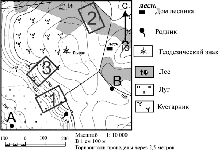 Топографические карты их классификация схемы местности и планы