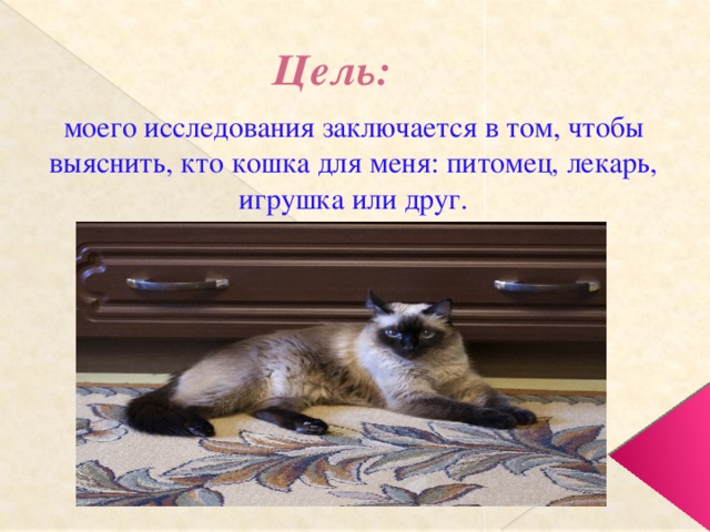 Цель:   моего исследования заключается в том, чтобы выяснить, кто кошка для меня: питомец, лекарь, игрушка или друг. 