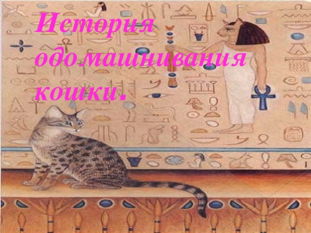    История одомашнивания кошки .   