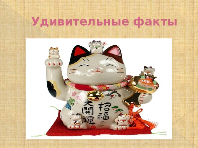 Удивительные факты 