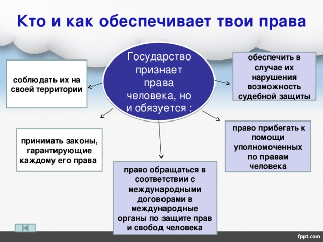 Система гарантий права человека и гражданина на благоприятную окружающую среду схема