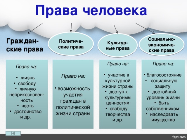 Проект права человека и гражданина