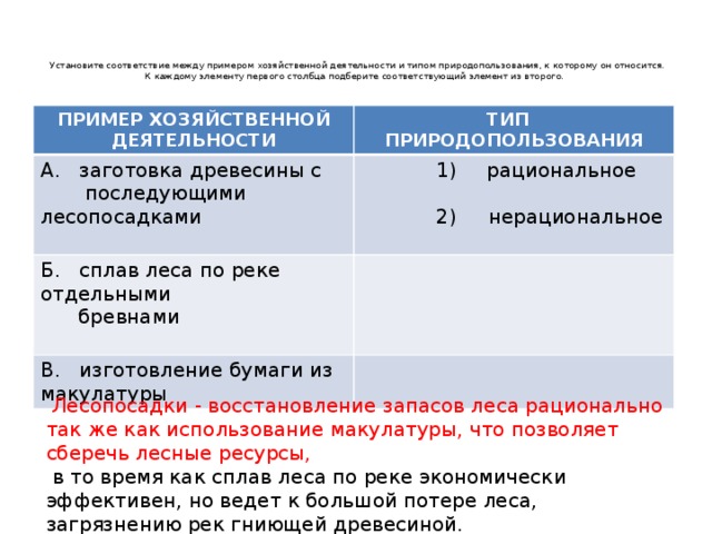 Установите к какому типу относятся перечисленные программы текстовый процессор