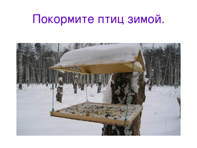 Покормите птиц зимой. 
