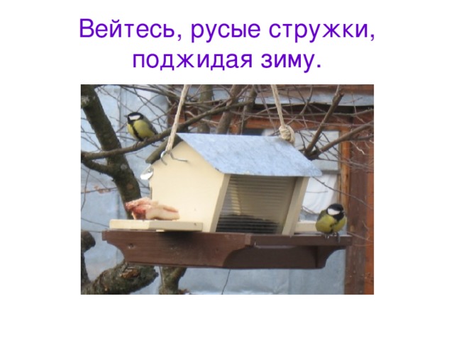 Вейтесь, русые стружки, поджидая зиму. 